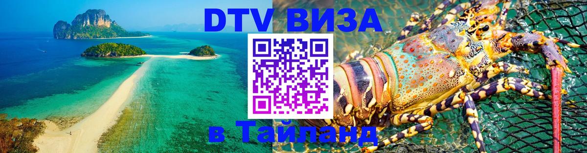 Сколько стоит DTV виза — актуальные цены, оформление даже без документов - 